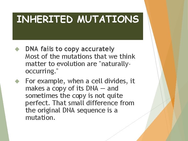 INHERITED MUTATIONS DNA fails to copy accurately Most of the mutations that we think