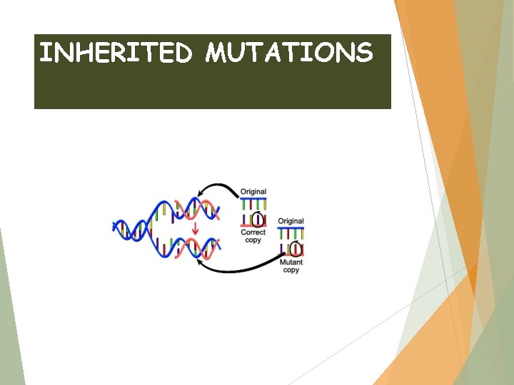 INHERITED MUTATIONS 