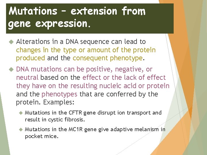 Mutations – extension from gene expression. Alterations in a DNA sequence can lead to