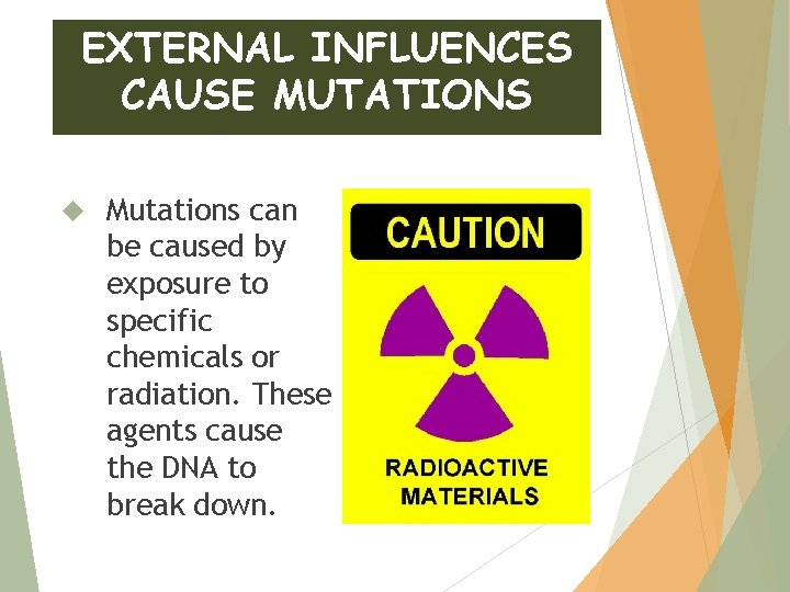 EXTERNAL INFLUENCES CAUSE MUTATIONS Mutations can be caused by exposure to specific chemicals or