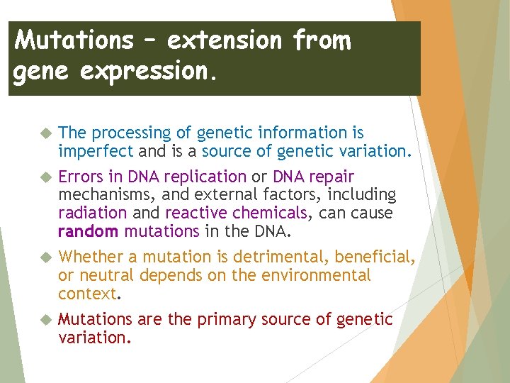 Mutations – extension from gene expression. The processing of genetic information is imperfect and