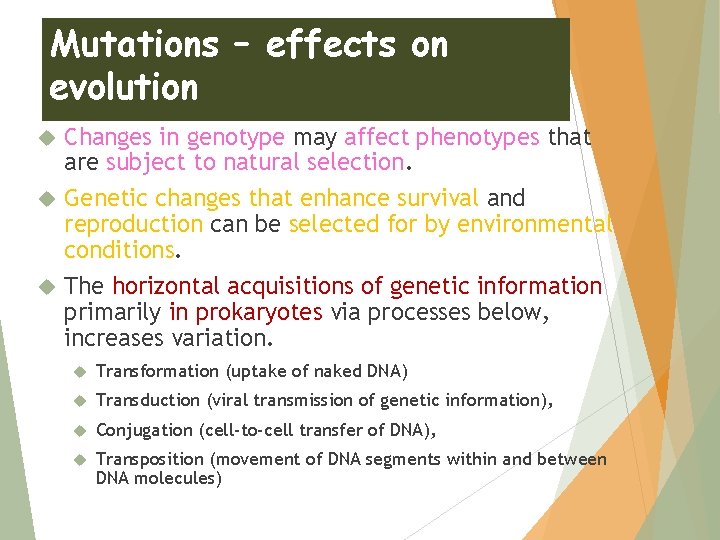 Mutations – effects on evolution Changes in genotype may affect phenotypes that are subject