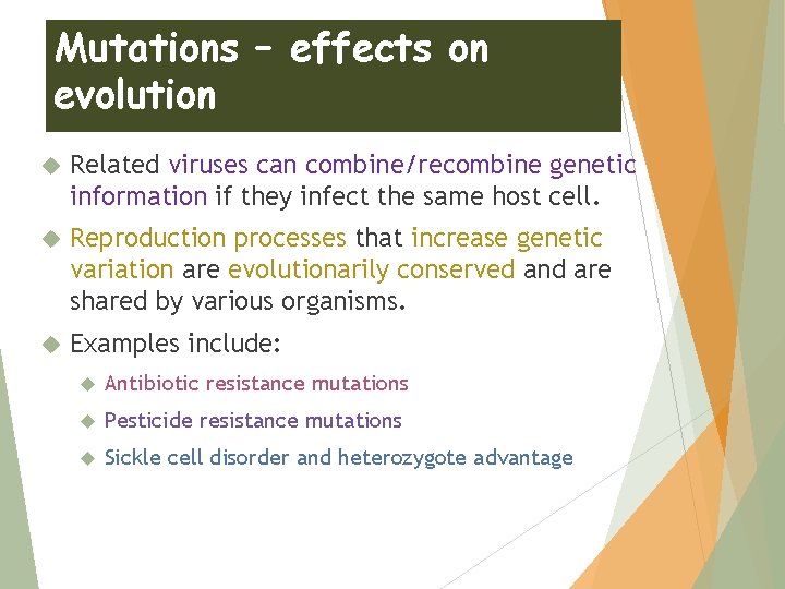 Mutations – effects on evolution Related viruses can combine/recombine genetic information if they infect