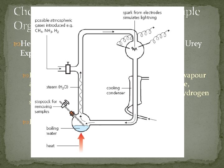 Chemical Reactions to Produce Simple Organic Molecules Heat, Temperature and Lightning – Miller and