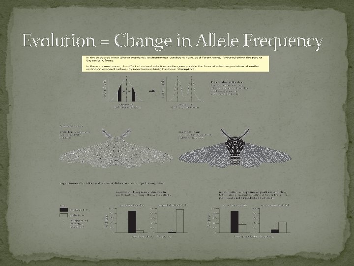 Evolution = Change in Allele Frequency 
