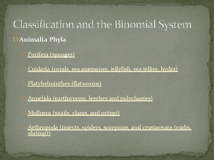 Classification and the Binomial System � Animalia Phyla � Porifera (sponges) � Cnidaria (corals,