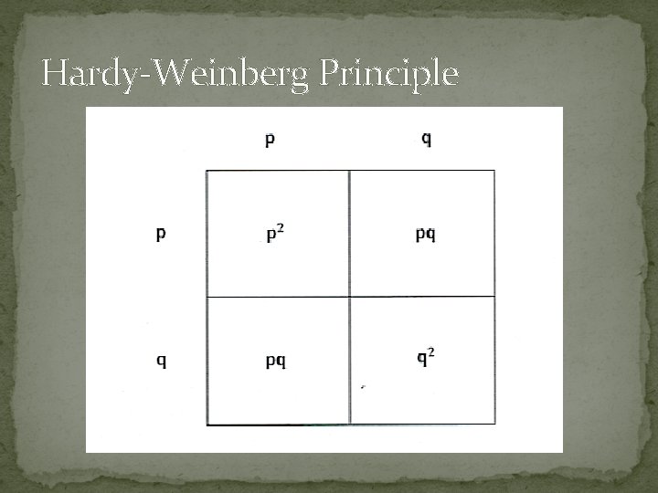 Hardy-Weinberg Principle 