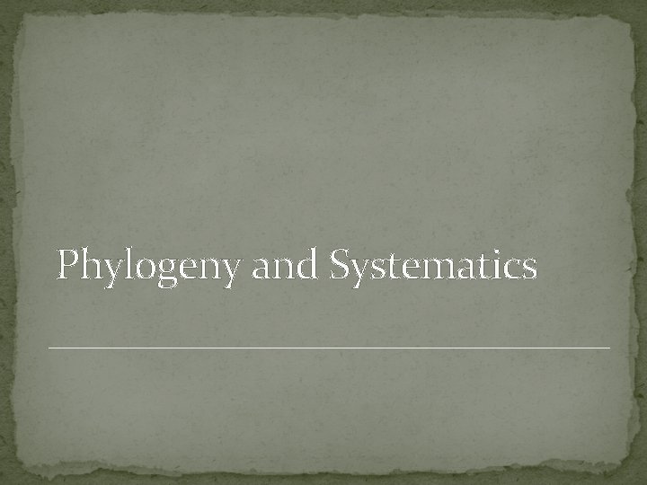 Phylogeny and Systematics 