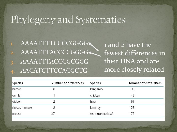 Phylogeny and Systematics AAAATTTTCCCCGGGG 2. AAAATTTACCCCGGGG 3. AAAATTTACCCGCGGG 4. AACATCTTCCACGCTG 1. 1 and 2