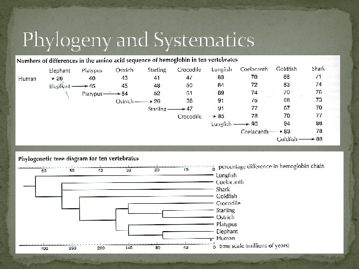 Phylogeny and Systematics 