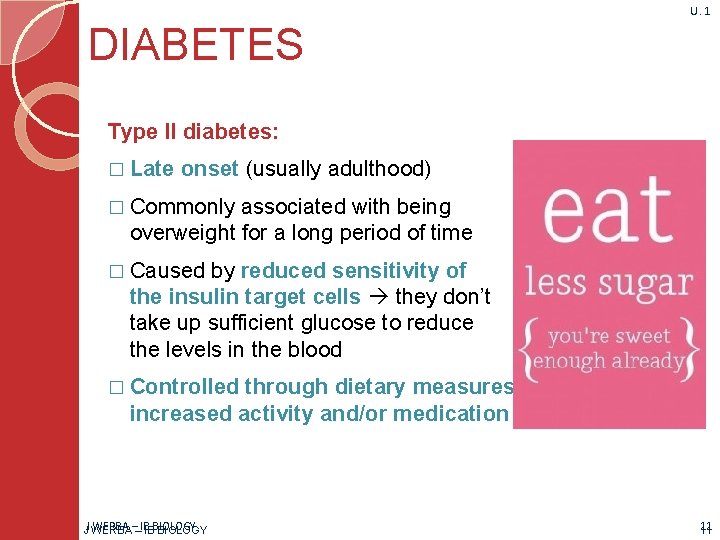 U. 1 DIABETES Type II diabetes: � Late onset (usually adulthood) � Commonly associated