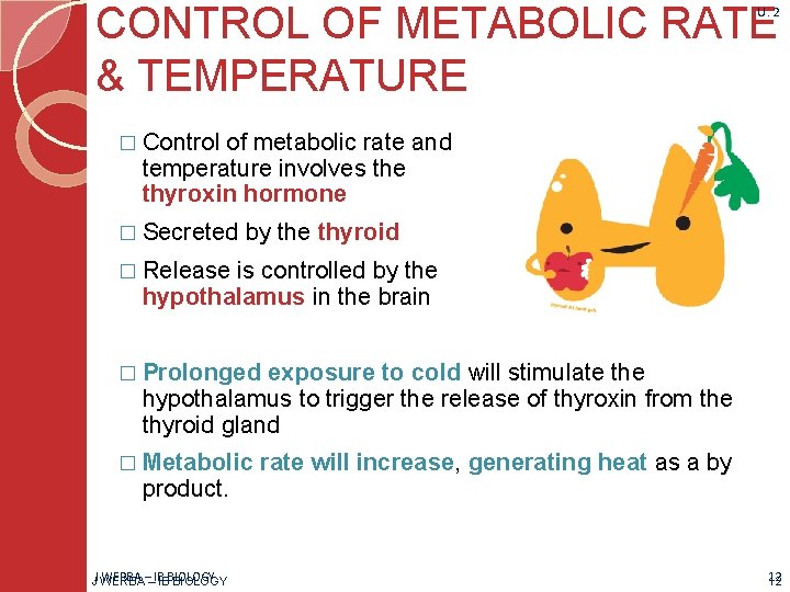 CONTROL OF METABOLIC RATE & TEMPERATURE U. 2 � Control of metabolic rate and