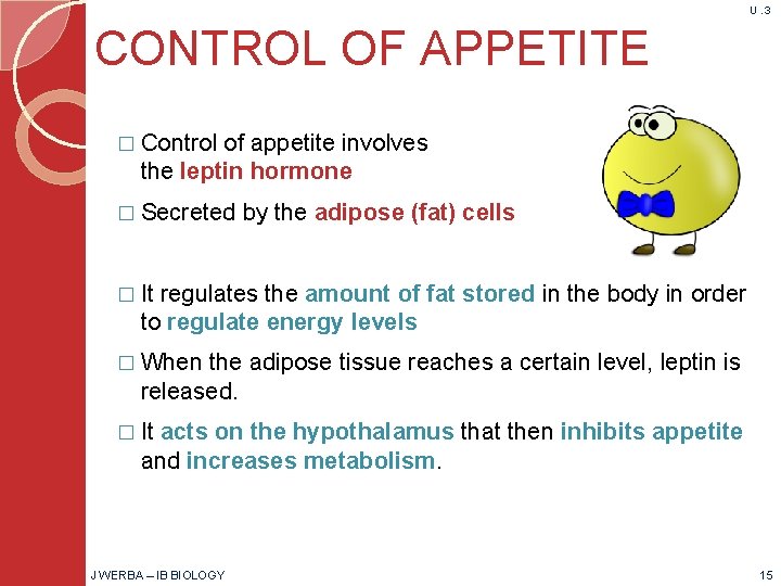 U. 3 CONTROL OF APPETITE � Control of appetite involves the leptin hormone �