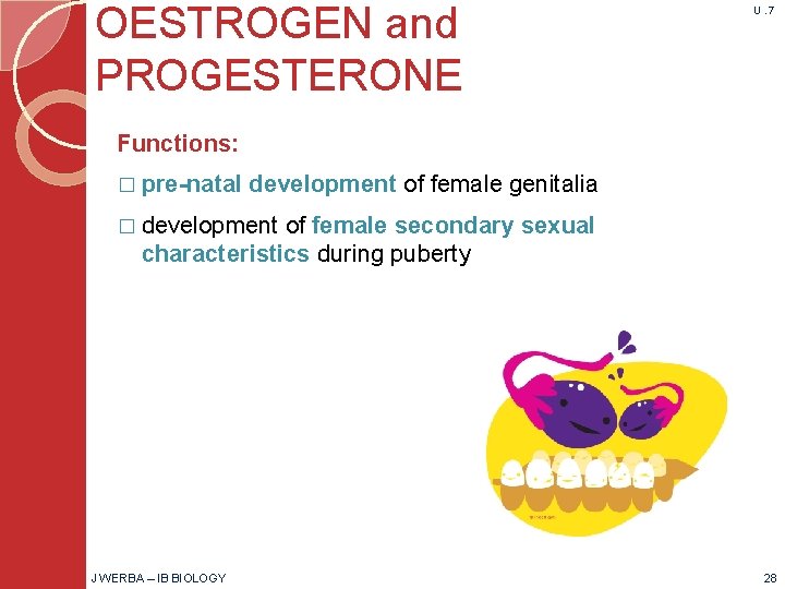 OESTROGEN and PROGESTERONE U. 7 Functions: � pre-natal development of female genitalia � development