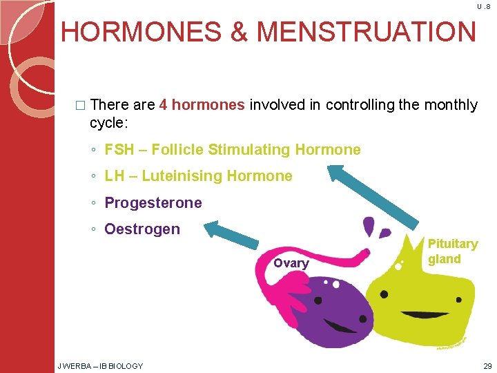 U. 8 HORMONES & MENSTRUATION � There are 4 hormones involved in controlling the