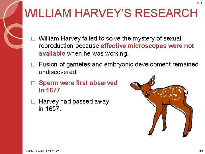 A. 5 WILLIAM HARVEY’S RESEARCH � William Harvey failed to solve the mystery of
