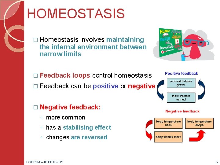 HOMEOSTASIS � Homeostasis involves maintaining the internal environment between narrow limits � Feedback loops