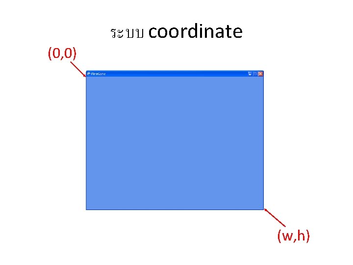 (0, 0) ระบบ coordinate (w, h) 