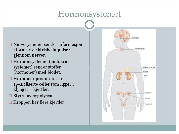 Hormonsystemet � Nervesystemet sender informasjon � � i form av elektriske impulser gjennom nerver.