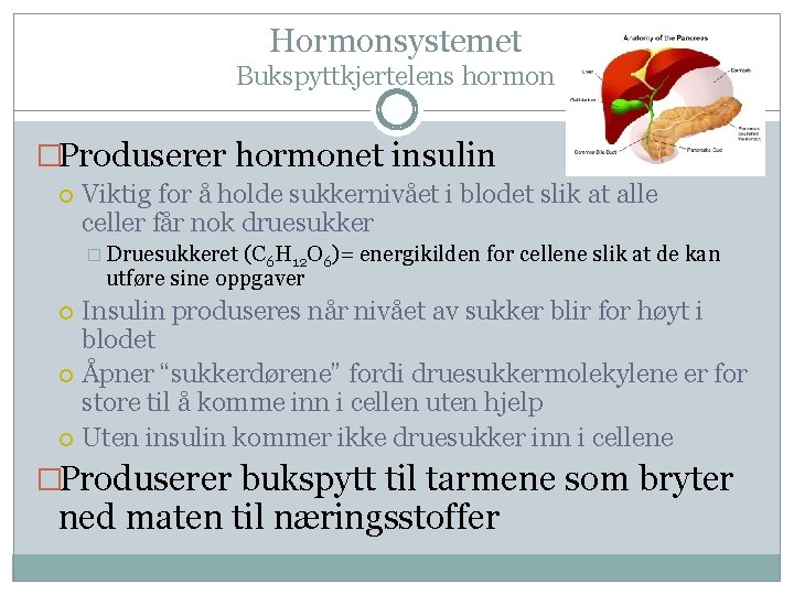 Hormonsystemet Bukspyttkjertelens hormon �Produserer hormonet insulin Viktig for å holde sukkernivået i blodet slik