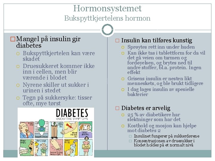 Hormonsystemet Bukspyttkjertelens hormon � Mangel på insulin gir diabetes Bukspyttkjertelen kan være skadet Druesukkeret