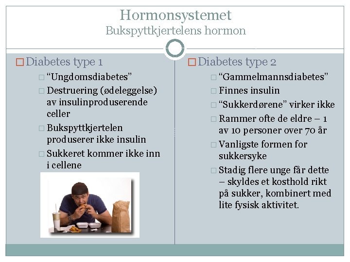 Hormonsystemet Bukspyttkjertelens hormon � Diabetes type 1 � “Ungdomsdiabetes” � Destruering (ødeleggelse) av insulinproduserende