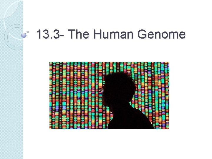 13. 3 - The Human Genome 