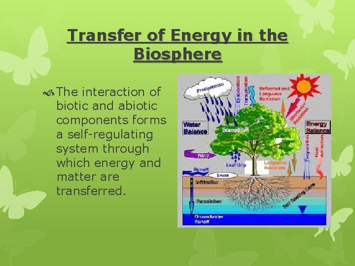 Transfer of Energy in the Biosphere The interaction of biotic and abiotic components forms