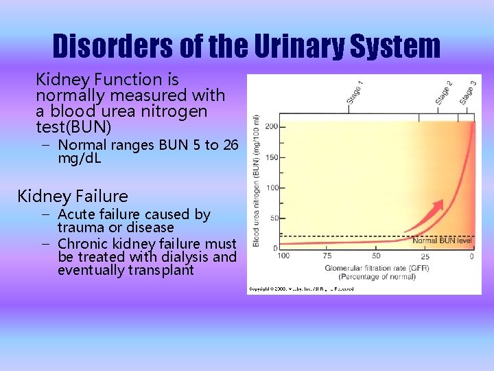 Disorders of the Urinary System Kidney Function is normally measured with a blood urea