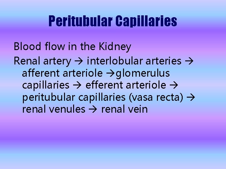 Peritubular Capillaries Blood flow in the Kidney Renal artery interlobular arteries afferent arteriole glomerulus