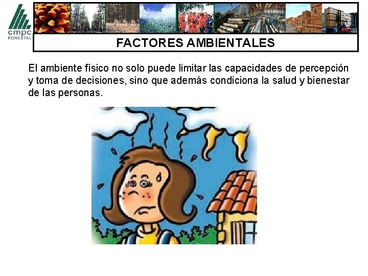 FACTORES AMBIENTALES El ambiente físico no solo puede limitar las capacidades de percepción y