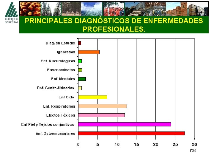 PRINCIPALES DIAGNÓSTICOS DE ENFERMEDADES PROFESIONALES. 