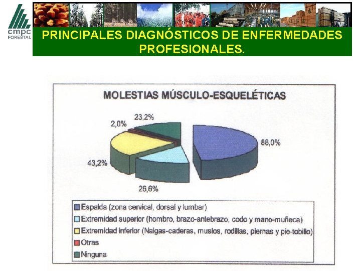 PRINCIPALES DIAGNÓSTICOS DE ENFERMEDADES PROFESIONALES. 