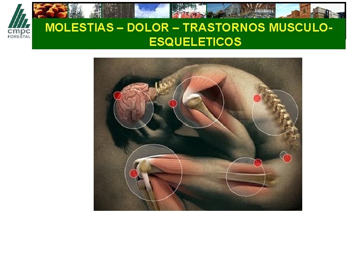 MOLESTIAS – DOLOR – TRASTORNOS MUSCULOESQUELETICOS 