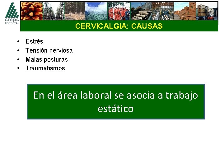 CERVICALGIA: CAUSAS • • Estrés Tensión nerviosa Malas posturas Traumatismos En el área laboral