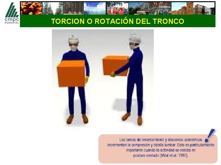 TORCION O ROTACIÓN DEL TRONCO 