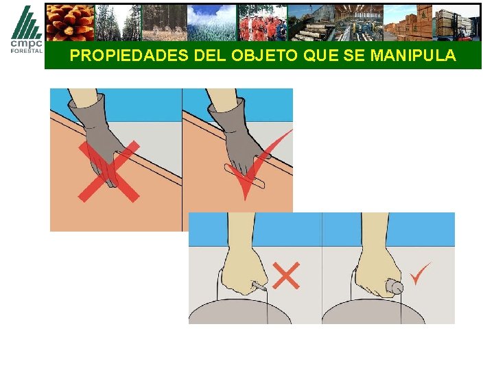 PROPIEDADES DEL OBJETO QUE SE MANIPULA 