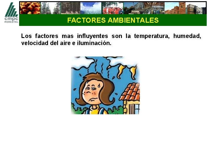 FACTORES AMBIENTALES Los factores mas influyentes son la temperatura, humedad, velocidad del aire e