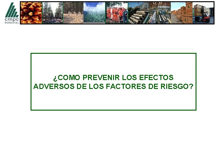 ¿COMO PREVENIR LOS EFECTOS ADVERSOS DE LOS FACTORES DE RIESGO? 