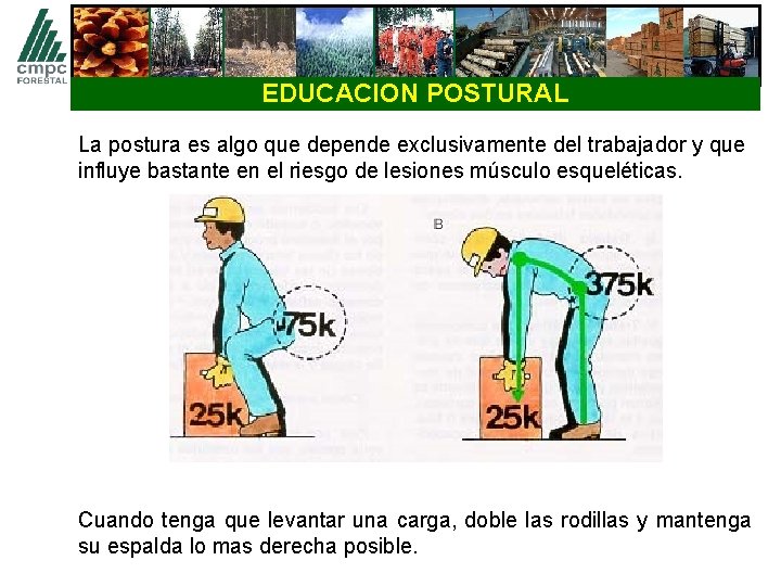 EDUCACION POSTURAL La postura es algo que depende exclusivamente del trabajador y que influye