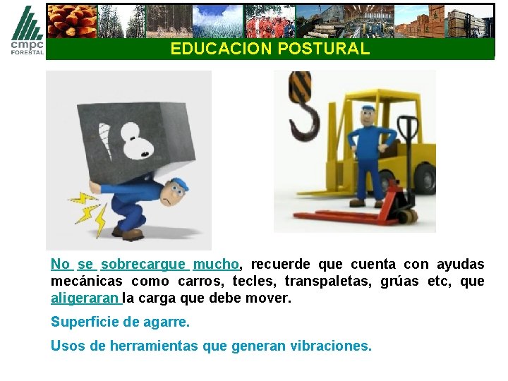 EDUCACION POSTURAL No se sobrecargue mucho, recuerde que cuenta con ayudas mecánicas como carros,