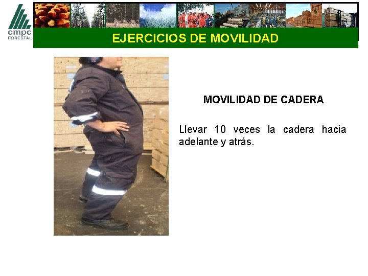 EJERCICIOS DE MOVILIDAD DE CADERA Llevar 10 veces la cadera hacia adelante y atrás.