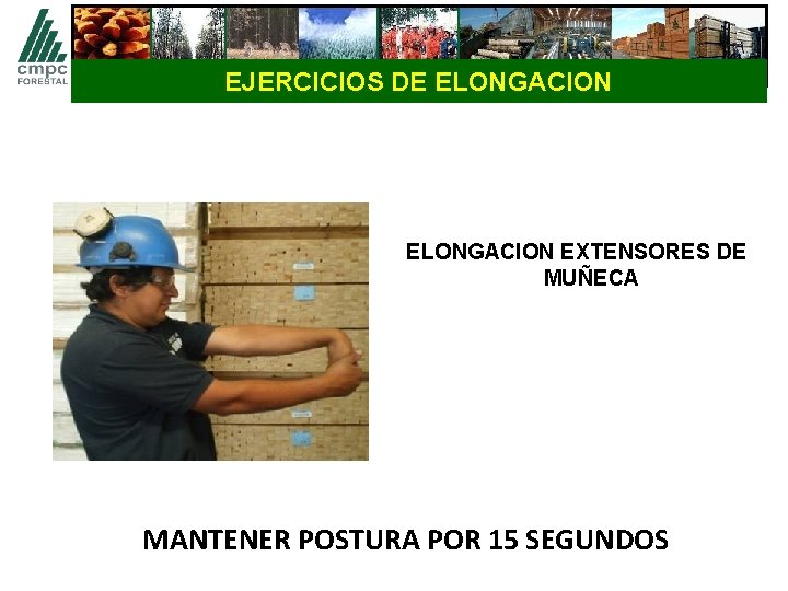 EJERCICIOS DE ELONGACION EXTENSORES DE MUÑECA MANTENER POSTURA POR 15 SEGUNDOS 