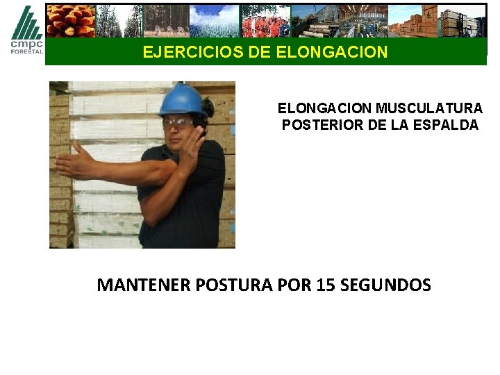 EJERCICIOS DE ELONGACION MUSCULATURA POSTERIOR DE LA ESPALDA MANTENER POSTURA POR 15 SEGUNDOS 