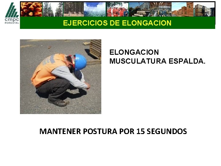 EJERCICIOS DE ELONGACION MUSCULATURA ESPALDA. MANTENER POSTURA POR 15 SEGUNDOS 