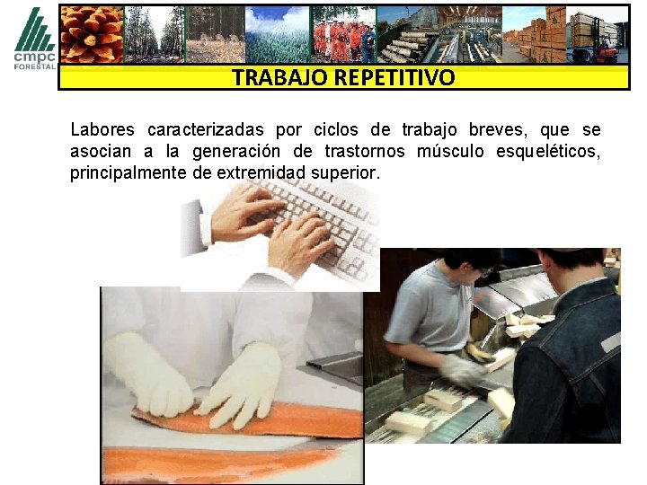 TRABAJO REPETITIVO Labores caracterizadas por ciclos de trabajo breves, que se asocian a la