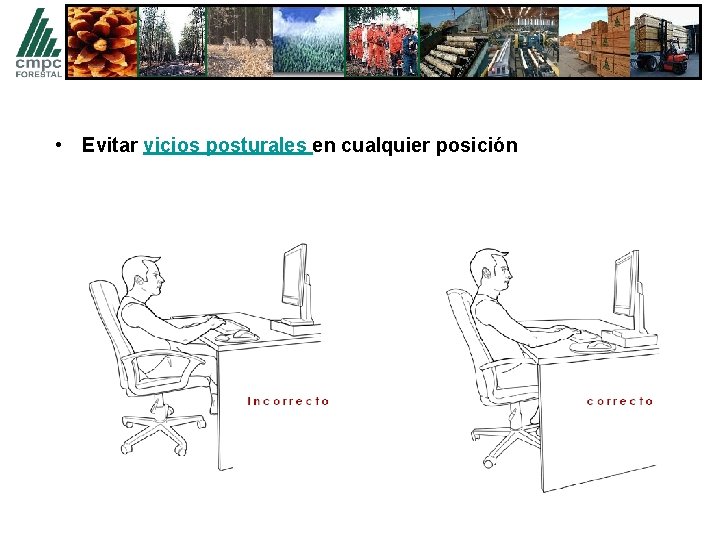  • Evitar vicios posturales en cualquier posición 