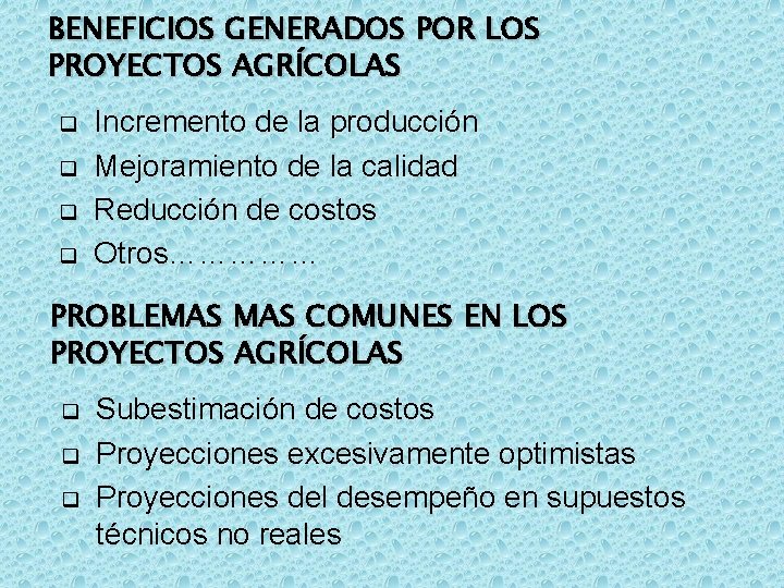 BENEFICIOS GENERADOS POR LOS PROYECTOS AGRÍCOLAS q q Incremento de la producción Mejoramiento de