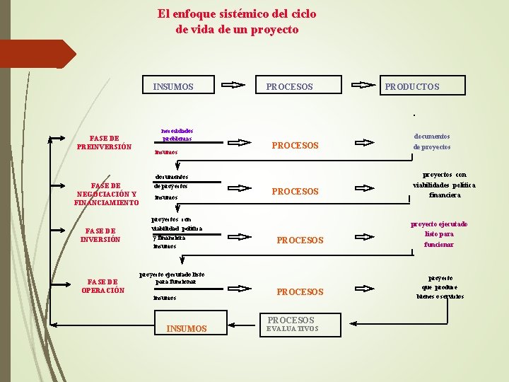 El enfoque sistémico del ciclo de vida de un proyecto INSUMOS FASE DE PREINVERSIÓN