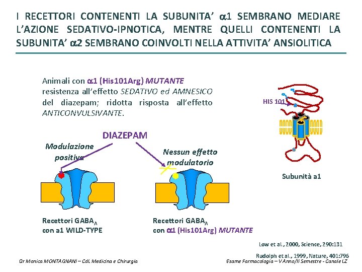 I RECETTORI CONTENENTI LA SUBUNITA’ 1 SEMBRANO MEDIARE L’AZIONE SEDATIVO-IPNOTICA, MENTRE QUELLI CONTENENTI LA